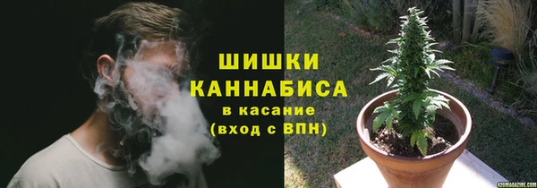 стаф Гусиноозёрск