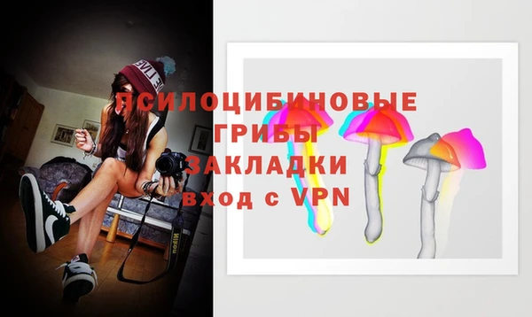 не бодяженный Алексин