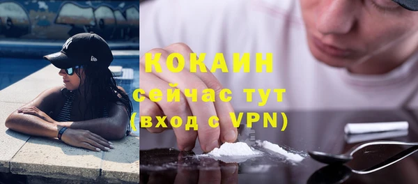 не бодяженный Алексин