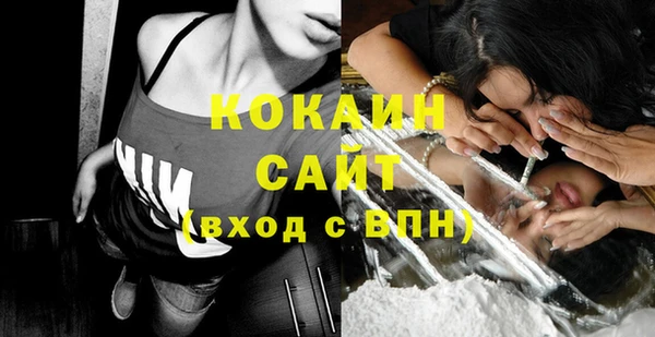гидропоника Гусь-Хрустальный