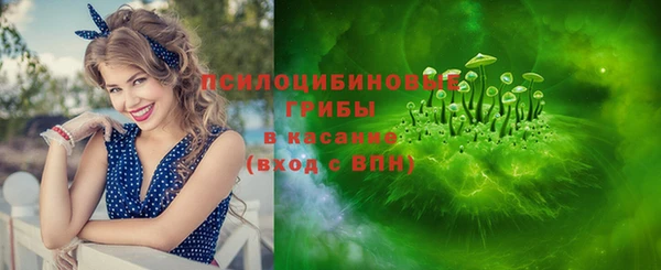 не бодяженный Алексин
